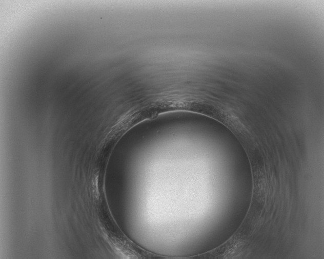 X0000059810262200510281713