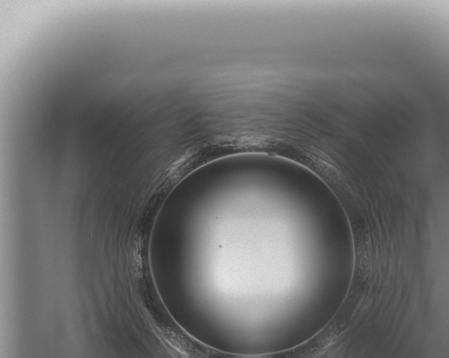 X0000059810264200510281713