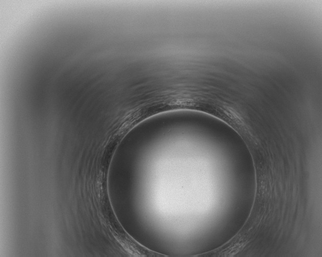 X0000059810265200510281713