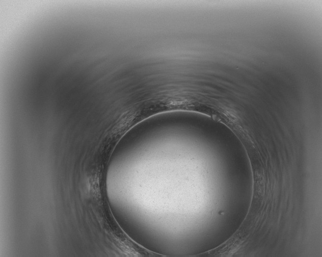 X0000059810269200510281713