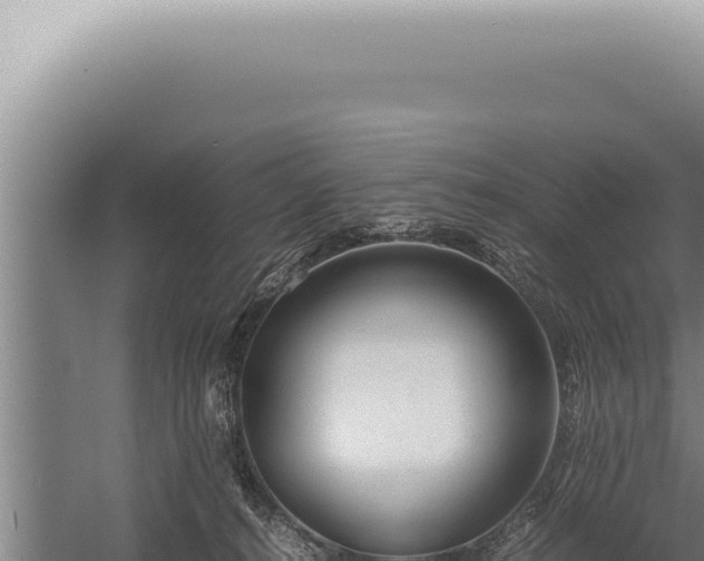 X0000059810272200510281713