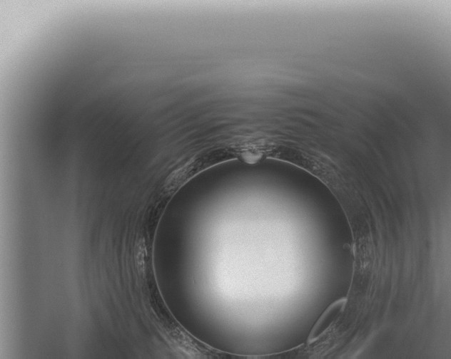 X0000059810279200510281713