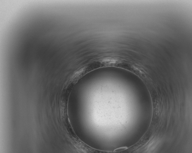 X0000059810283200510281713