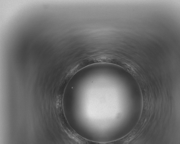 X0000059810284200510281713