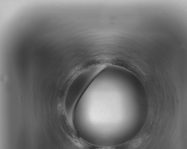 X0000059810288200510281713