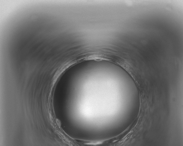 X0000059810289200510281712