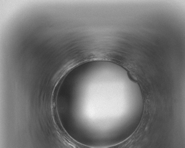 X0000059810290200510281712