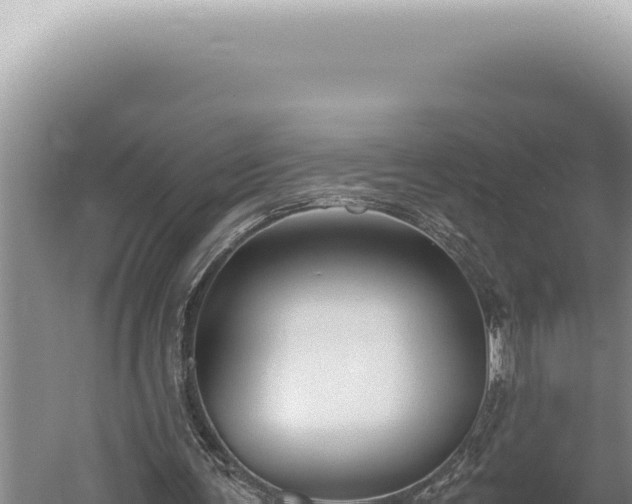 X0000059810291200510281712