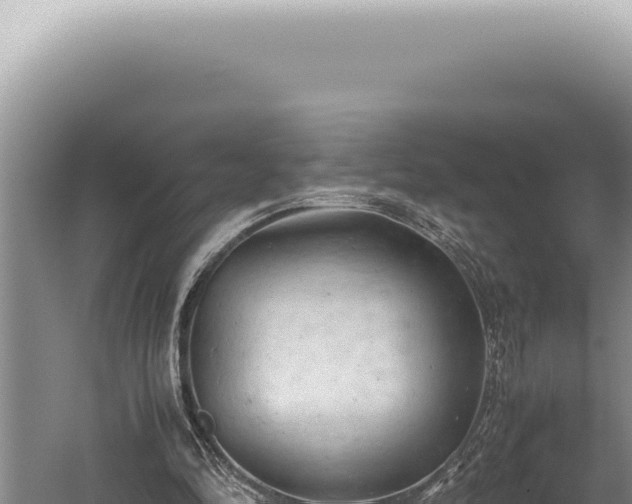 X0000059810294200510281712