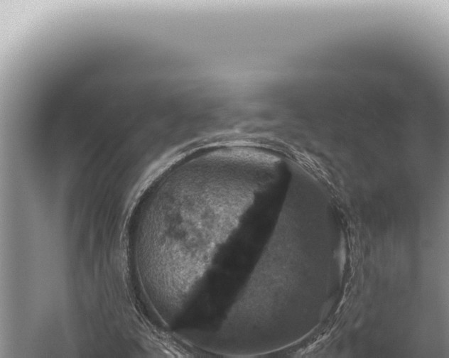 X0000059810295200510281712