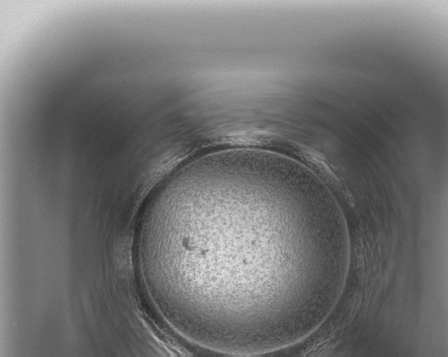 X0000059810299200510281712