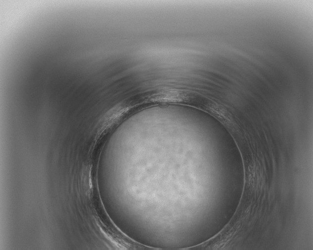 X0000059810302200510281712