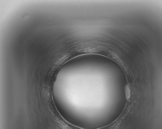 X0000059810305200510281712