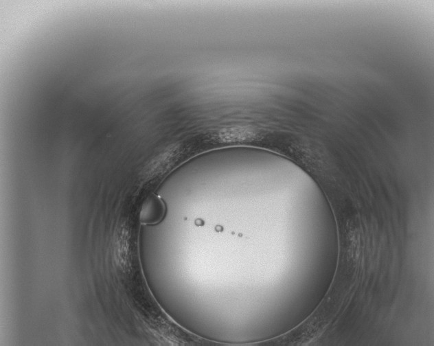 X0000059810308200510281712