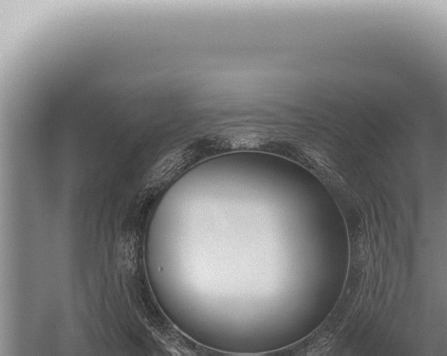 X0000059810311200510281712