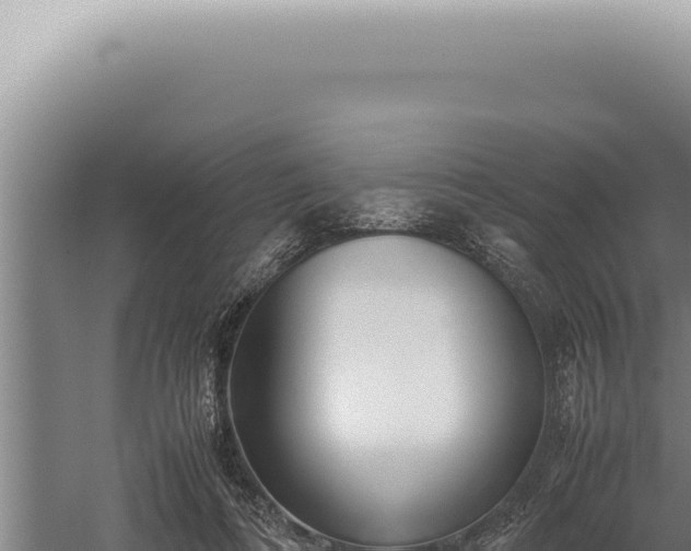 X0000059810312200510281712