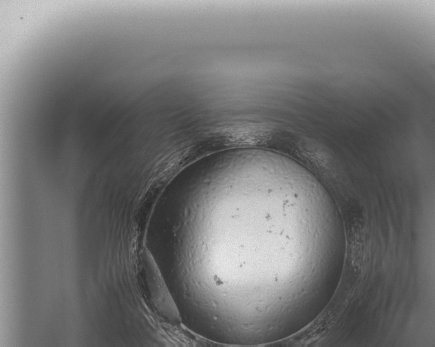 X0000059810314200510281712