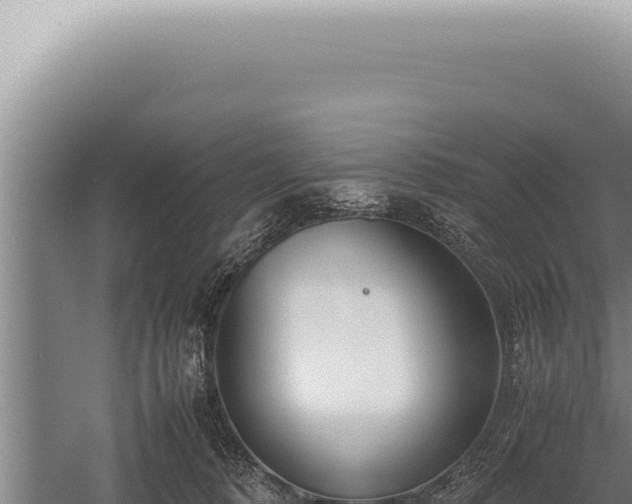 X0000059810320200510281712