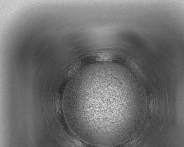 X0000059810322200510281712