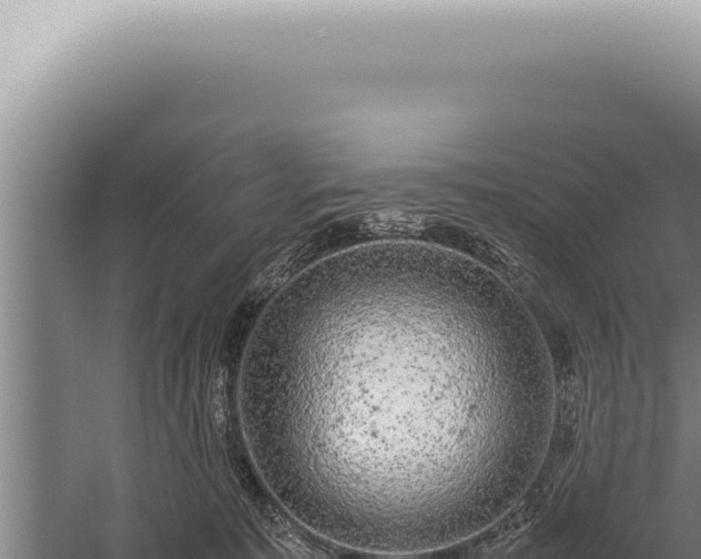 X0000059810323200510281712