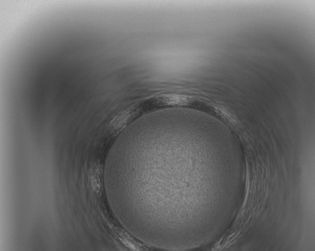 X0000059810325200510281712