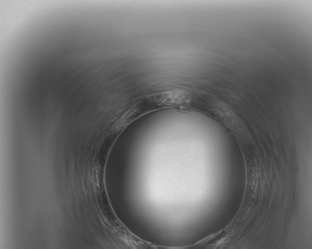 X0000059810326200510281712