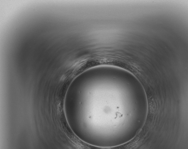 X0000059810327200510281712