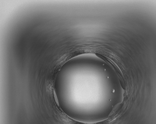 X0000059810329200510281712