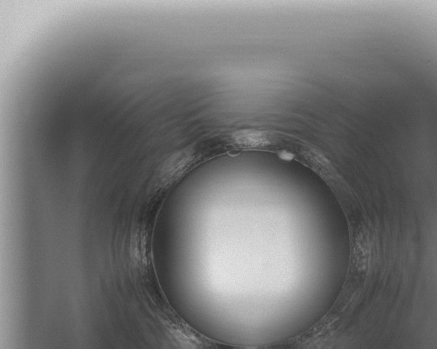 X0000059810330200510281712