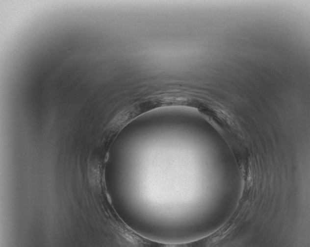 X0000059810333200510281712