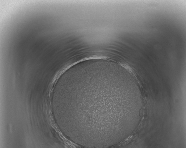 X0000059810337200510281711