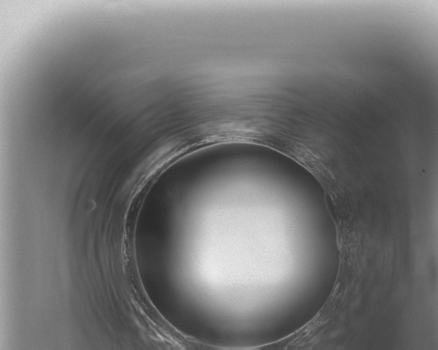 X0000059810338200510281711