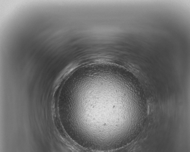 X0000059810339200510281711