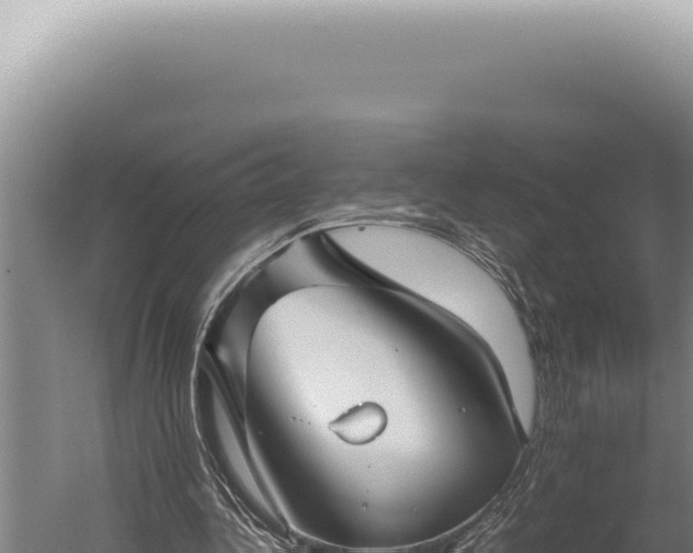 X0000059810340200510281711