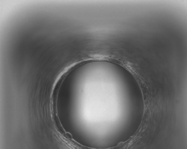 X0000059810342200510281711