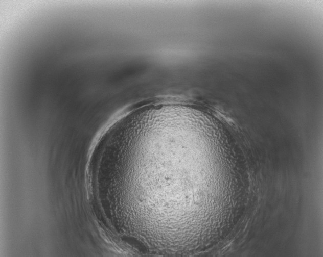 X0000059810343200510281711