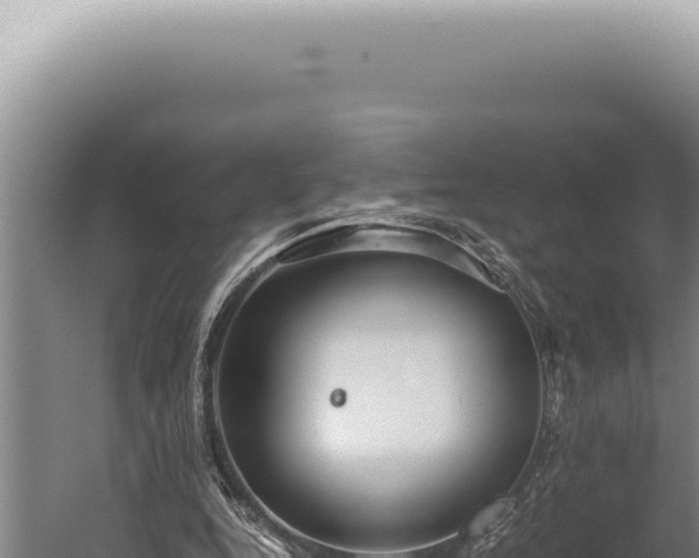 X0000059810344200510281711