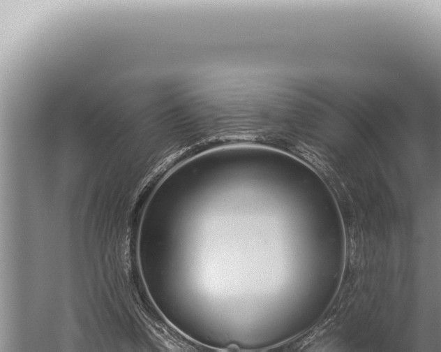 X0000059810346200510281711