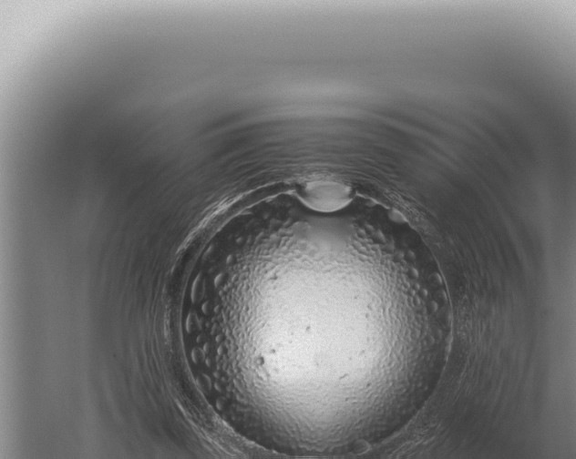 X0000059810347200510281711