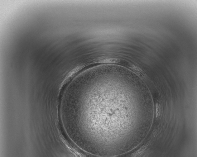 X0000059810349200510281711