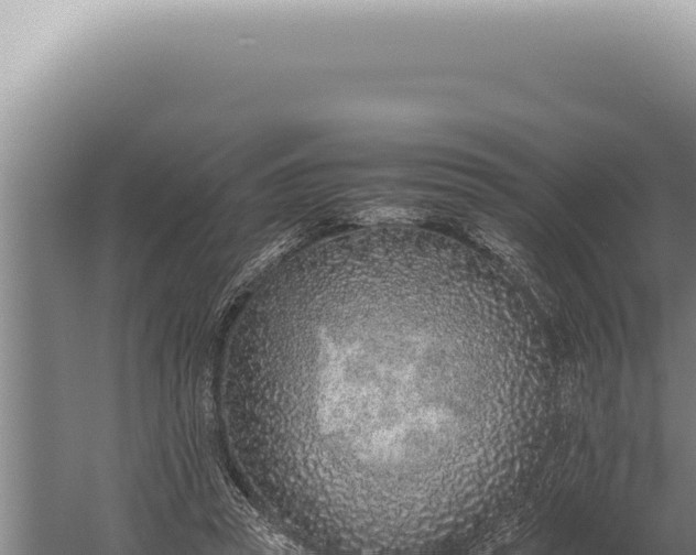 X0000059810353200510281711