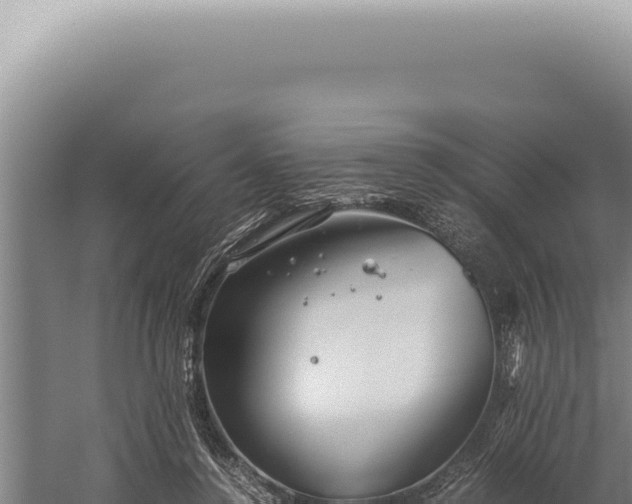 X0000059810356200510281711