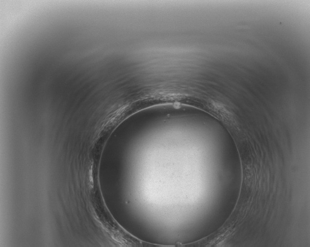 X0000059810358200510281711