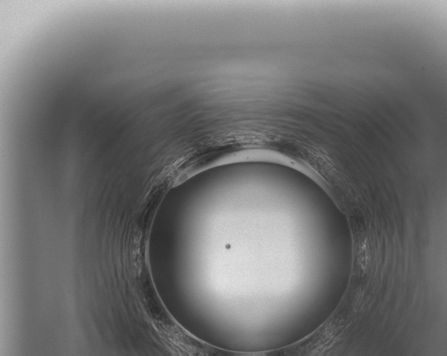 X0000059810360200510281711