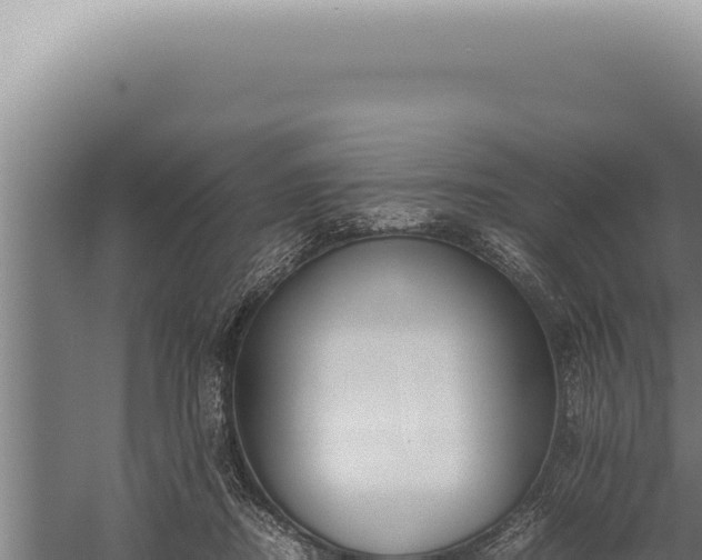 X0000059810362200510281711