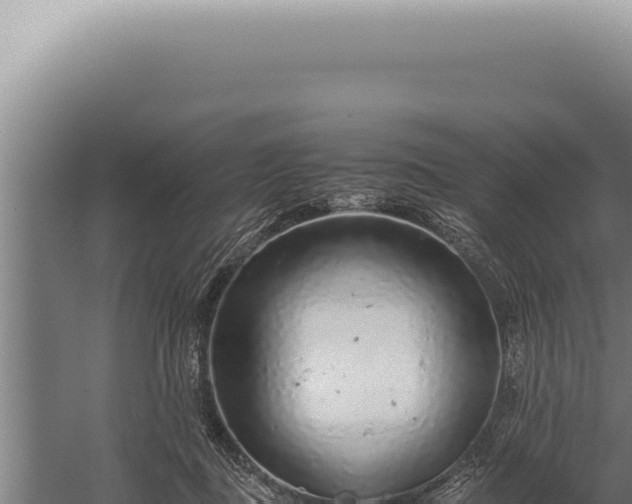 X0000059810363200510281711