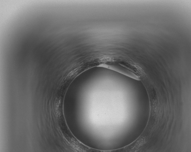 X0000059810364200510281711