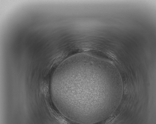 X0000059810365200510281711