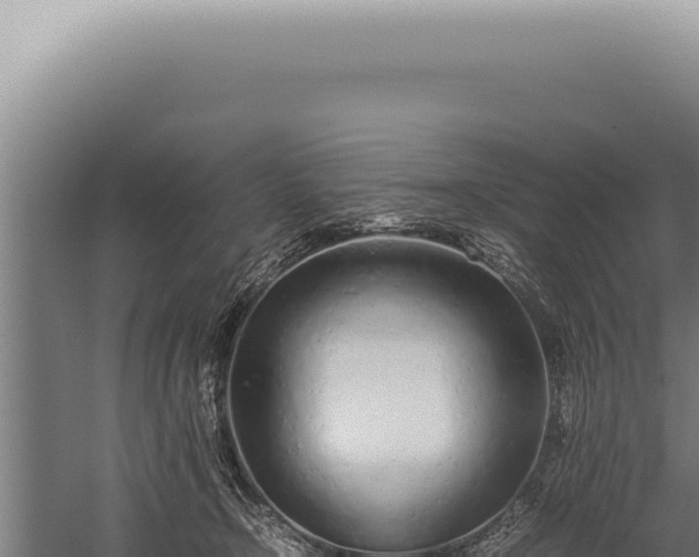 X0000059810366200510281711