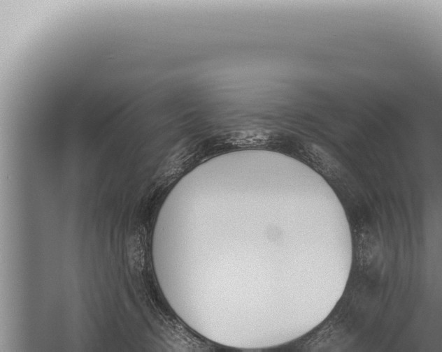 X0000059810370200510281711